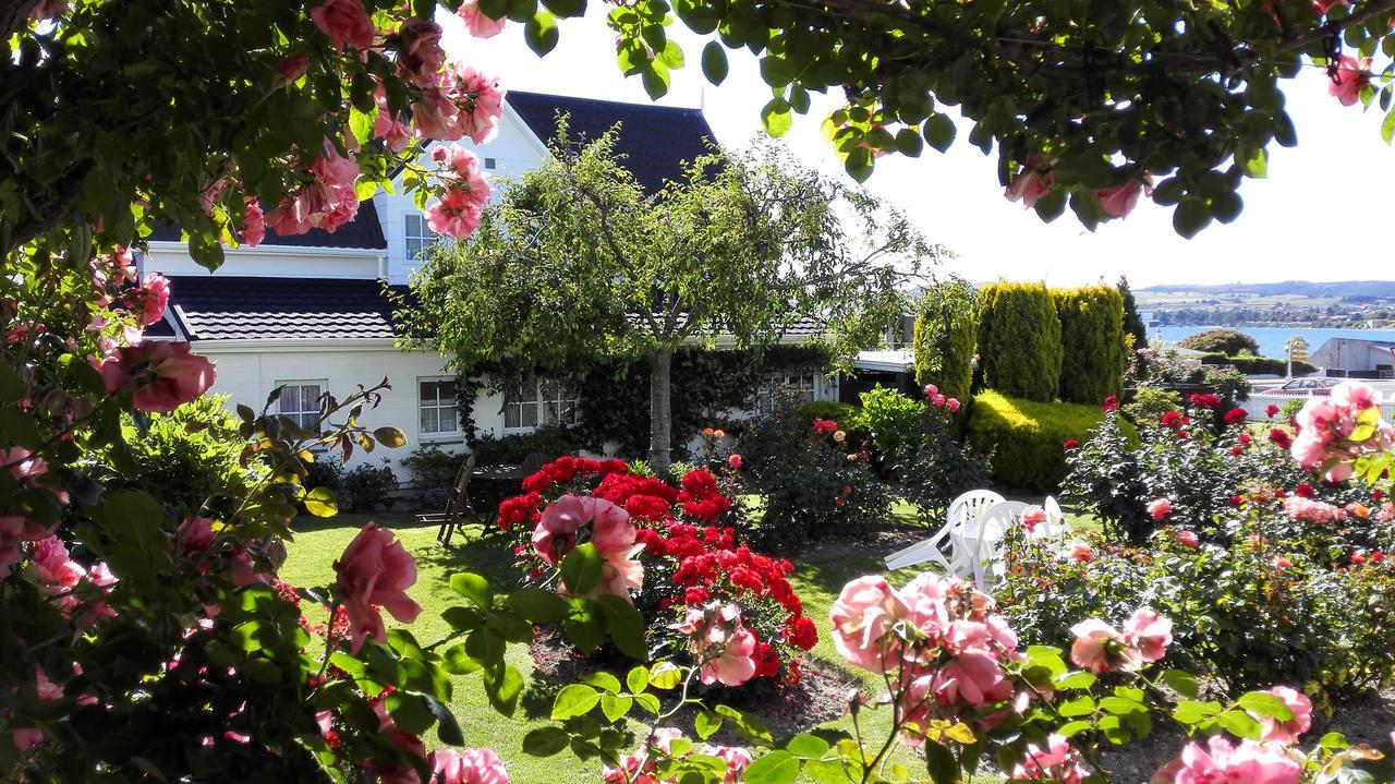 Phoenix Thermal Resort - Taupo Exterior foto